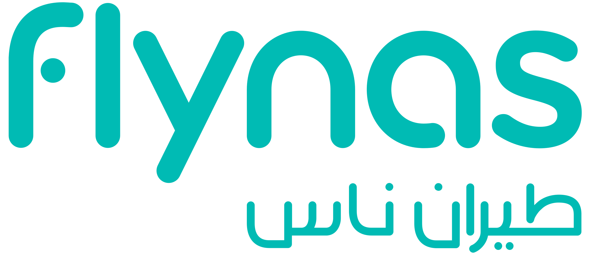 Airline Logo
